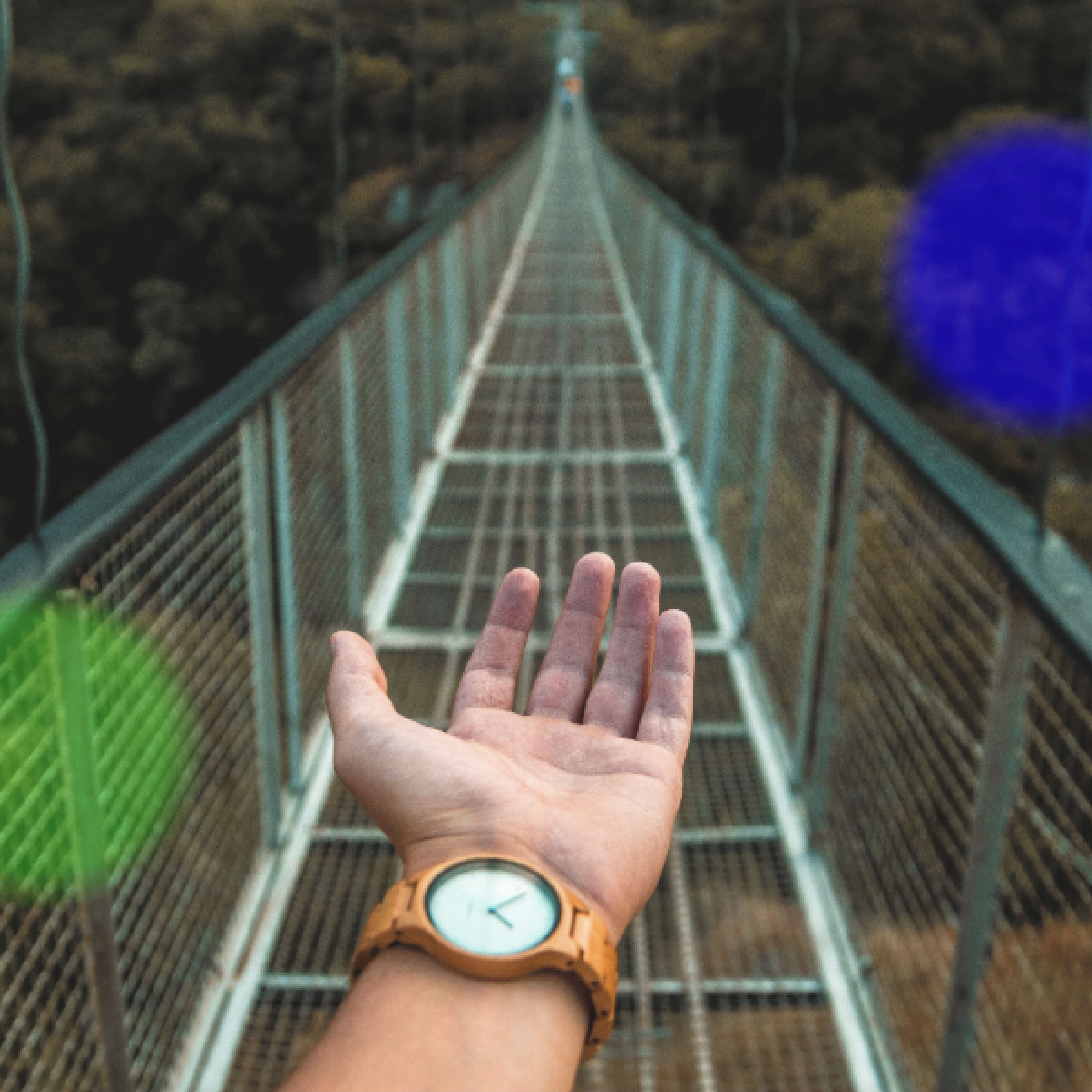 The Longest Journey